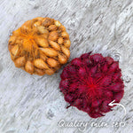 Spring-planting Onion Sets Duo Pack — Red Baron And Stuttgarter Riesen | Set of 2 | Teal & Yellow