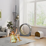 Cat Wheel With Brake, Scratching Pads - Grey | Gray