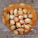 Crusado Early-maturing Yellow Onion Sets, Approx. Sets | Set of 65 | Yellow