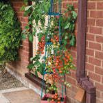 Self-watering Tomato Tower | Set of 1
