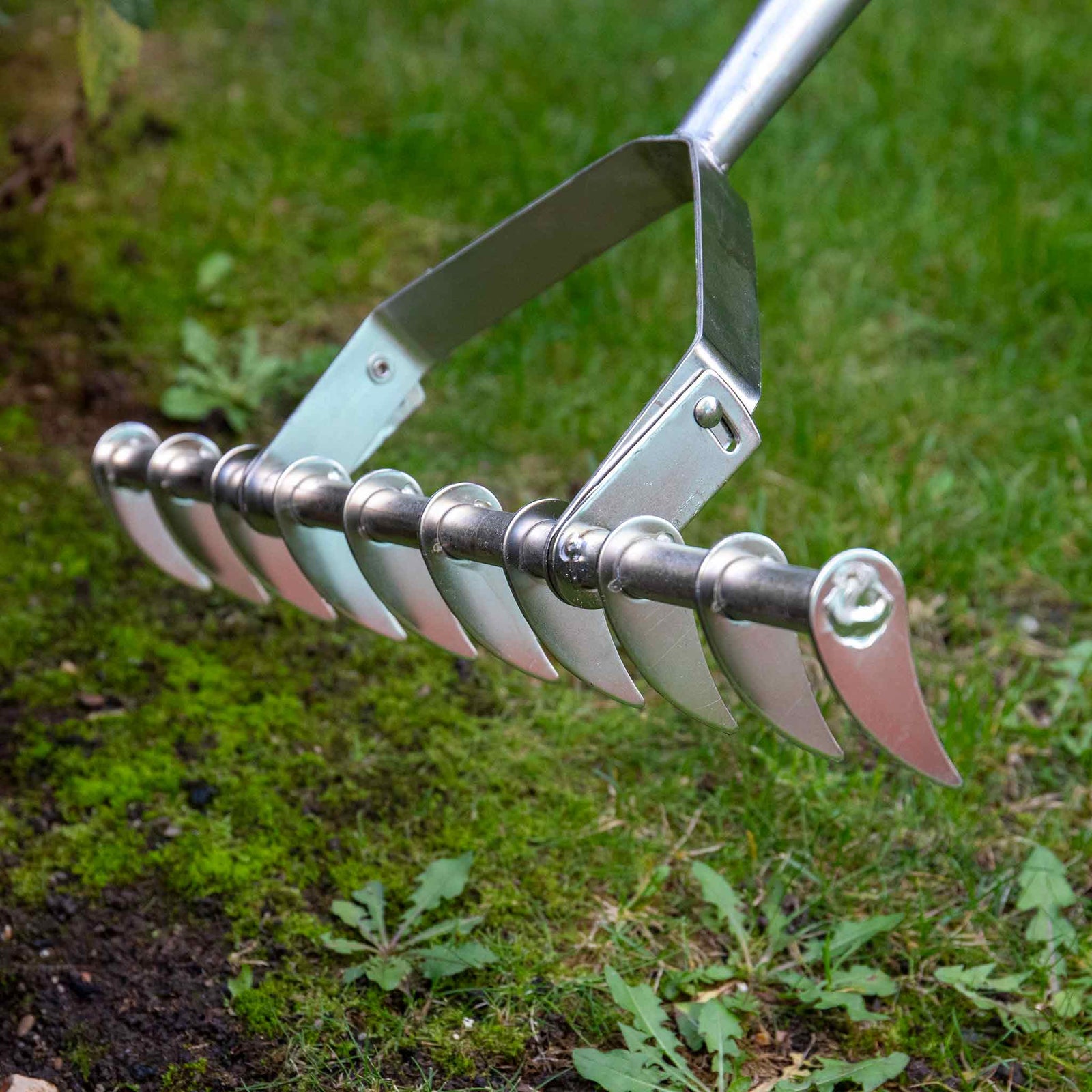 Stainless Steel Scarifying Rake Ash Handle 10 Tines 15-year Guarantee