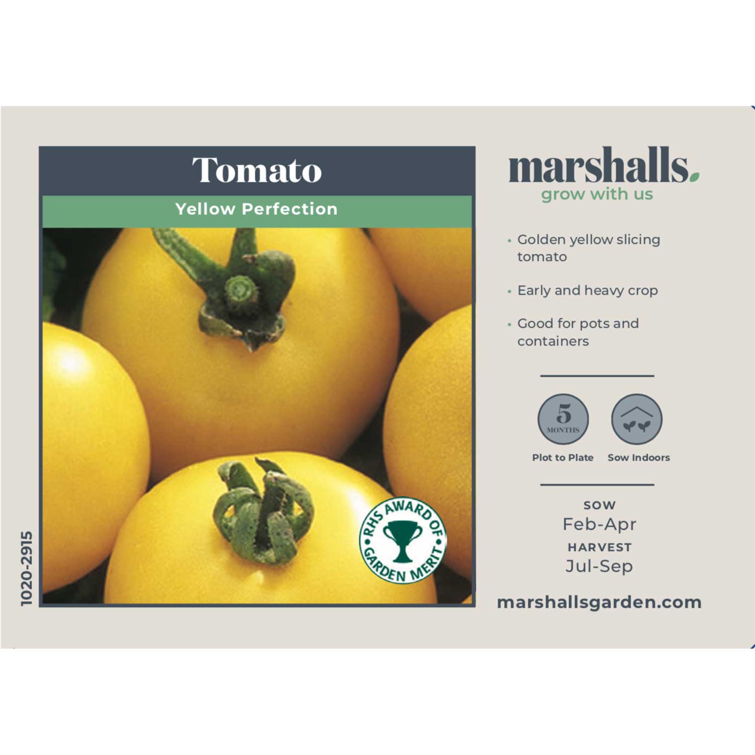 Yellow Perfection Tomato Seeds, Seeds, Rhs Award | 80 Seeds