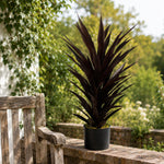 Artificial 85cm Dark Red Yucca Plant