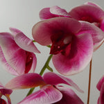 Artificial Orchid Black Ceramic Planter Dark Pink Black Planter 70cm