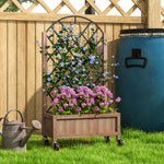 Raised Garden Bed With Metal Trellis