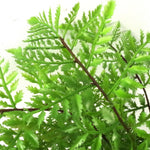 Artificial Potted Southern Wood Fern 30cm