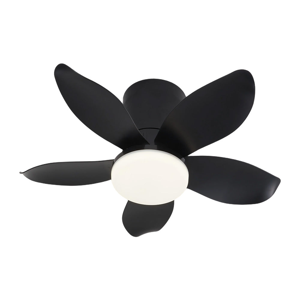 5-blade Ceiling Fan Light With 6-speed Reversible Motor, App & Remote | Black