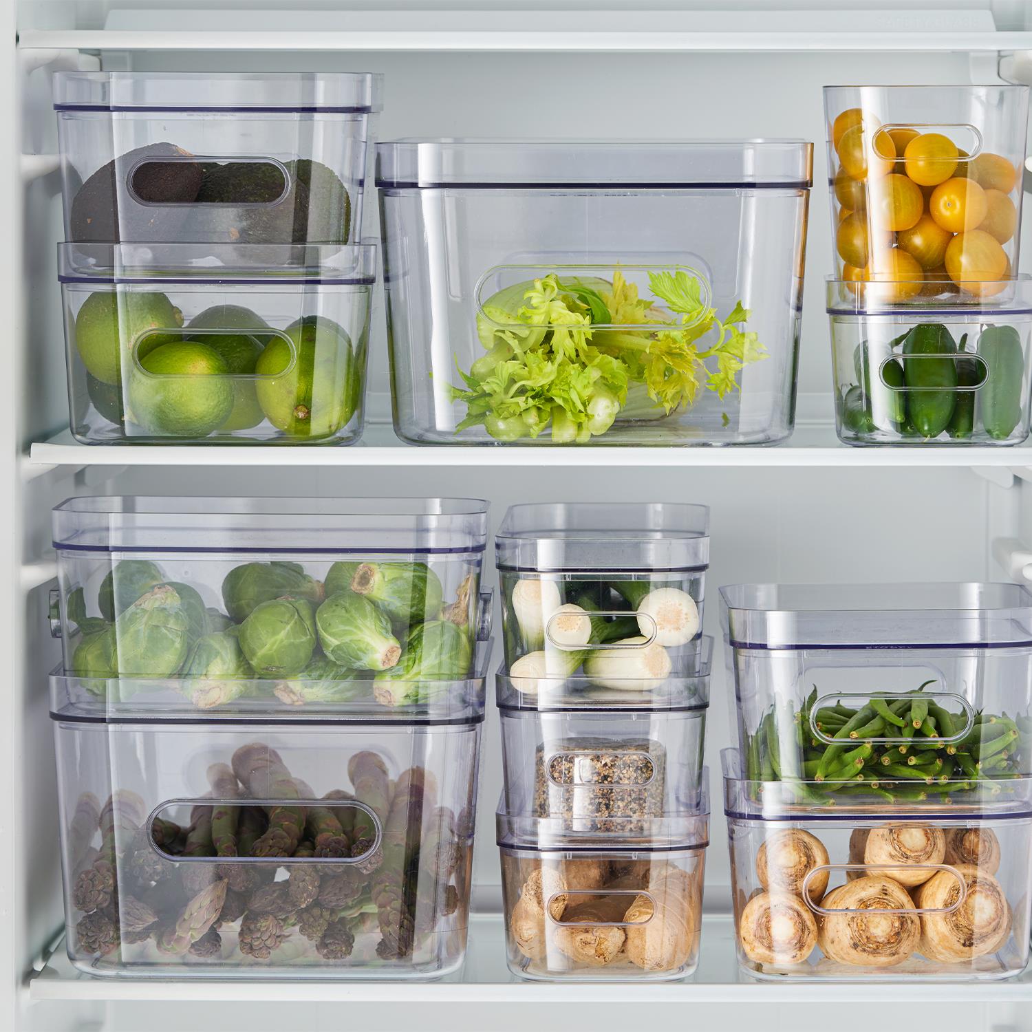 Bpa Free Compact Clear Lid For Storage Bin Container, Size S