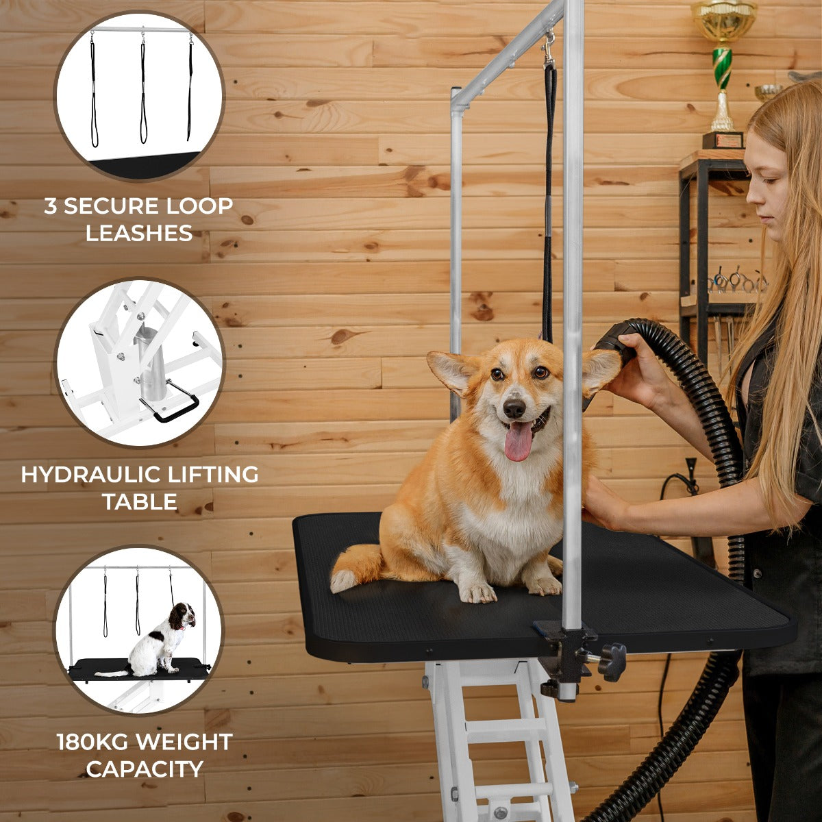 White Hydraulic Grooming Table | Black
