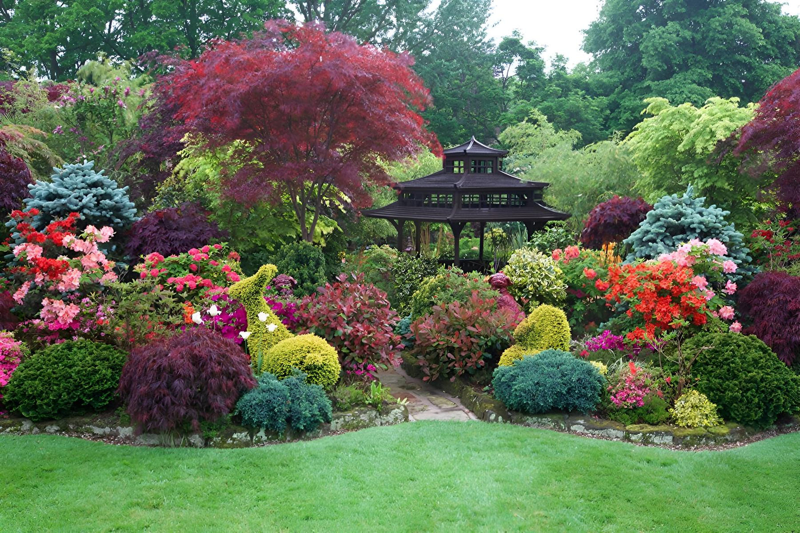 The Evergreen Selection Hardy Shrub Garden Border Mix Large Mature Plants Supplied In 3 Litre Pots | Set-of-6