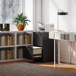 HOMCOM Filing Cabinet, File Cabinet With 2 Lockable Drawers And Hanging Rails