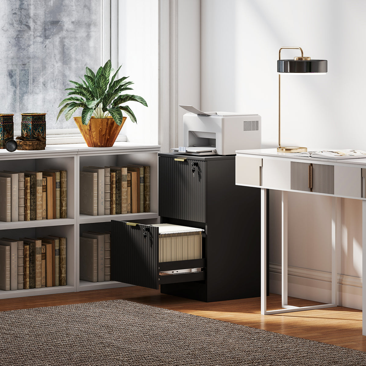 HOMCOM Filing Cabinet, File Cabinet With 2 Lockable Drawers And Hanging Rails