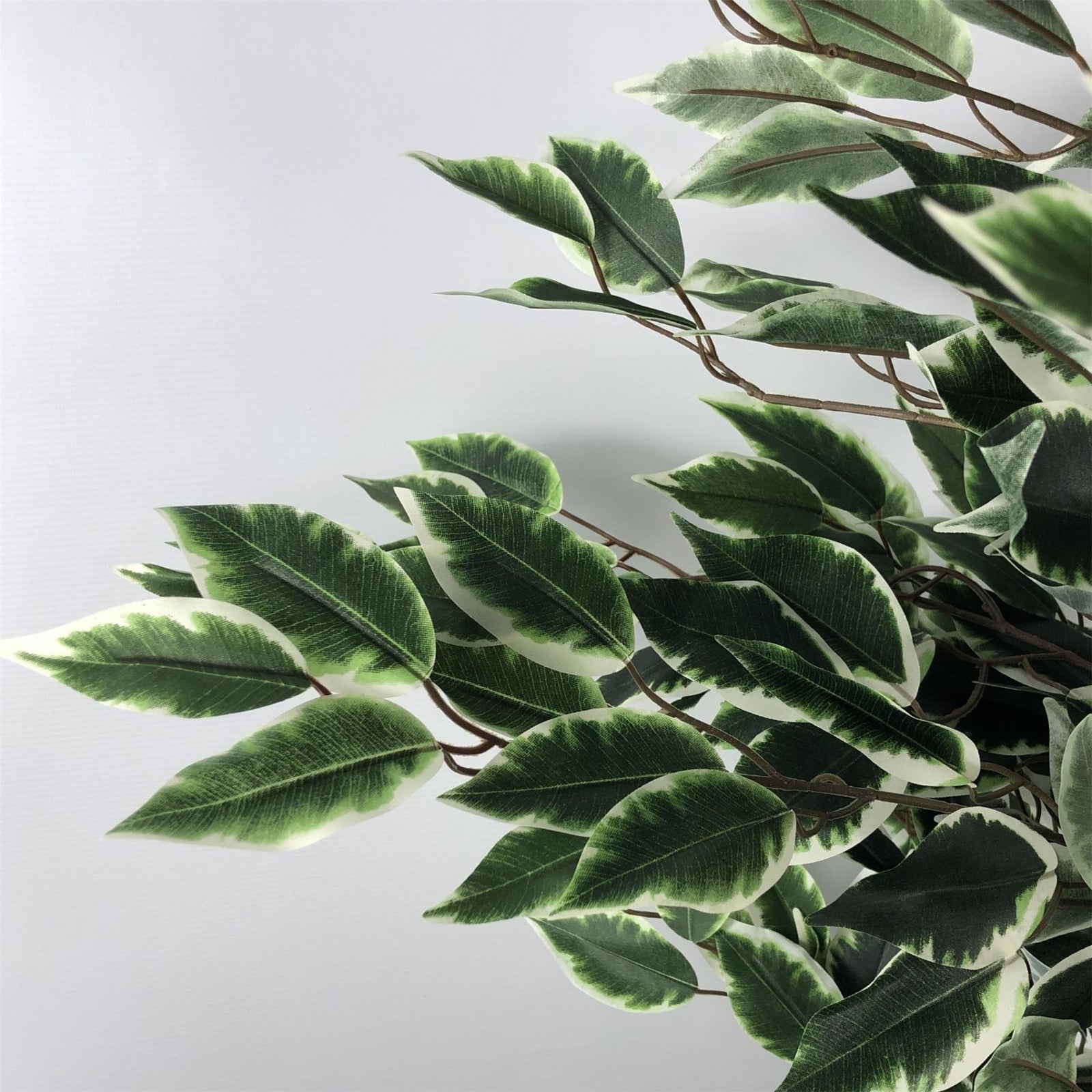 Artificial 130cm Tall Variegated White/green Bushy Ficus Tree
