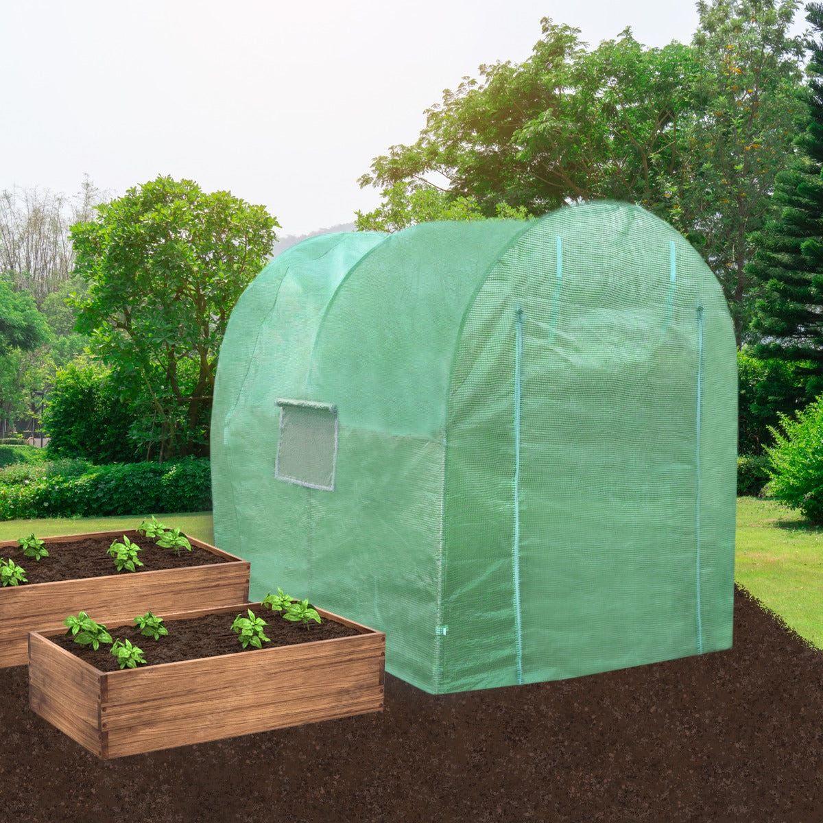 Polytunnel With Racking | 19mm 3m x 2m | Green