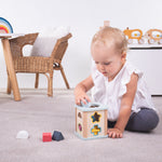 Bigjigs Toys Wooden Shape Sorter, Includes 9 Play Pieces