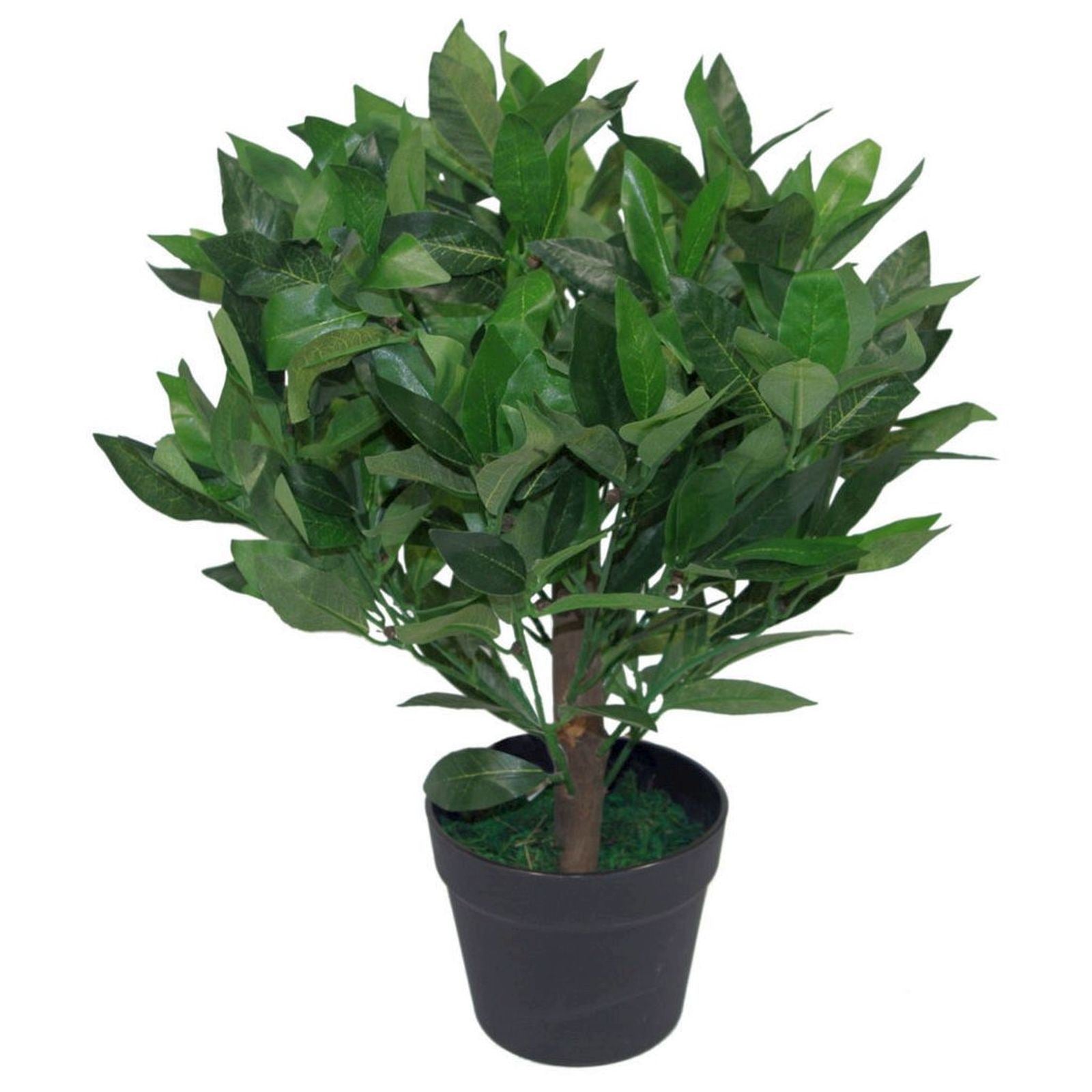 50cm  Design Uk Artificial Realistic Bay Laurel Topiary Ball Tree