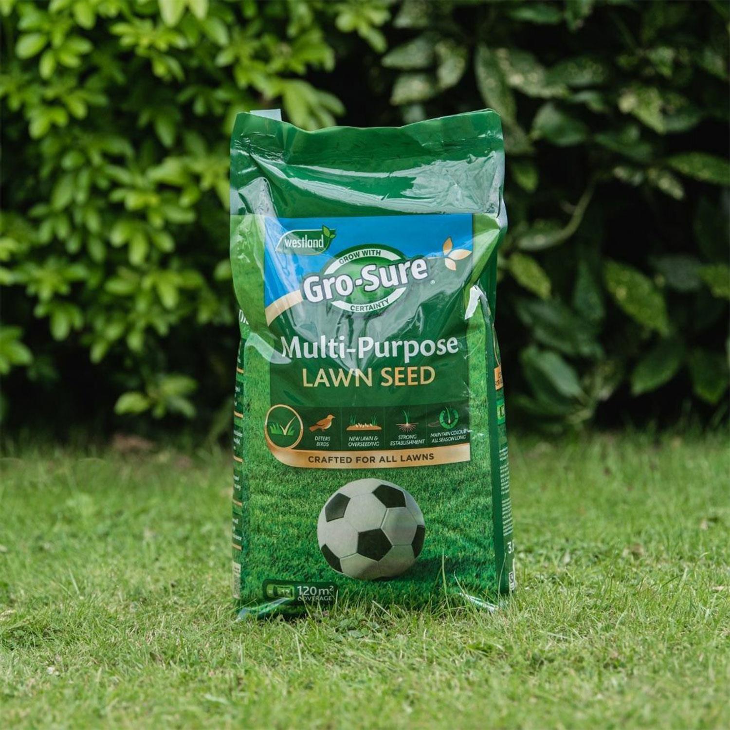 Multi-purpose Lawn Grass Seed Covers 120m2, 3.6kg | Green