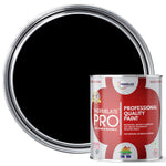 Pro Flex Multi Surface All-in-one Paint - Satin | 2.5l | Black