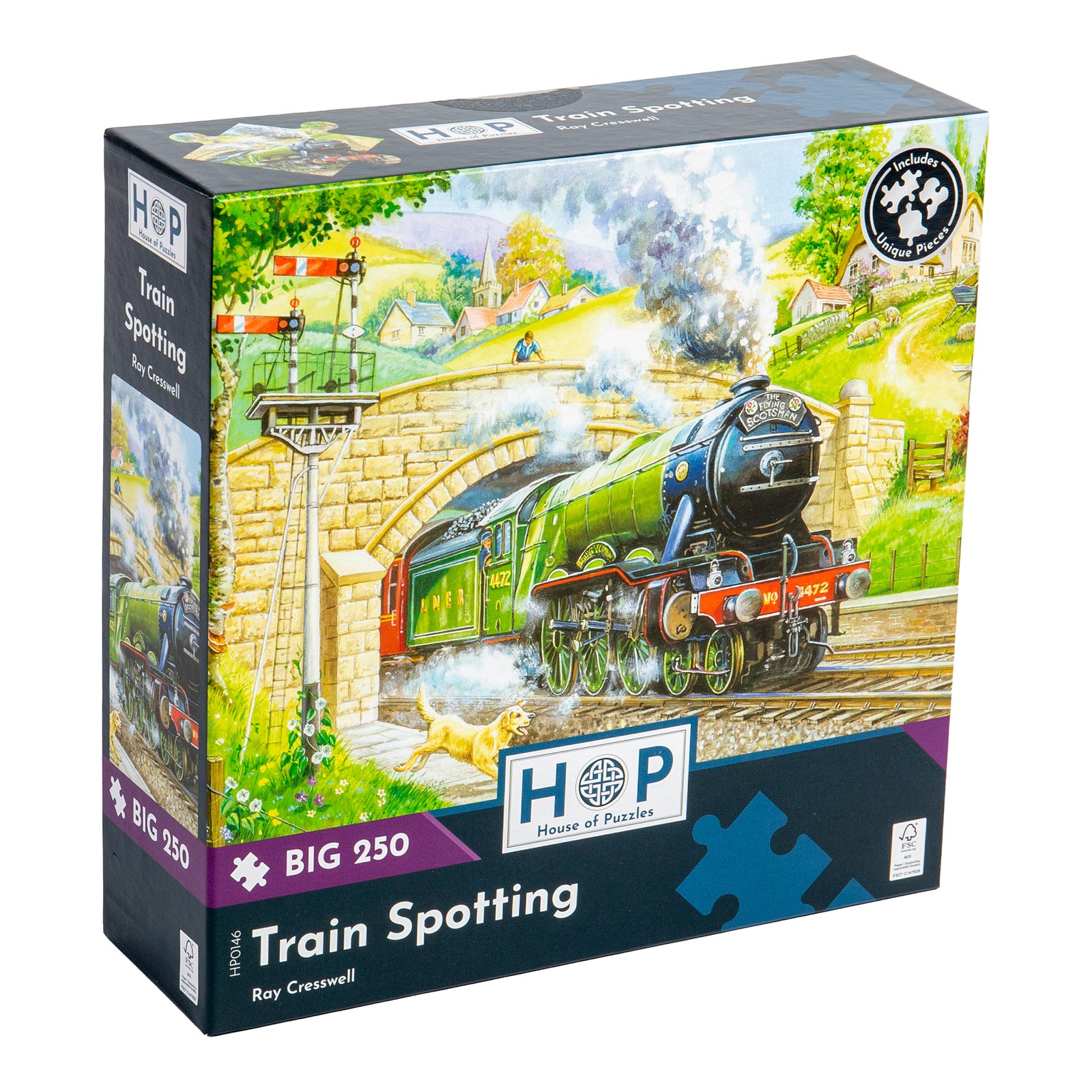 Train Spotting - Big 250 Piece Jigsaw Puzzle For Adults & Kids, With Extra Large Pieces