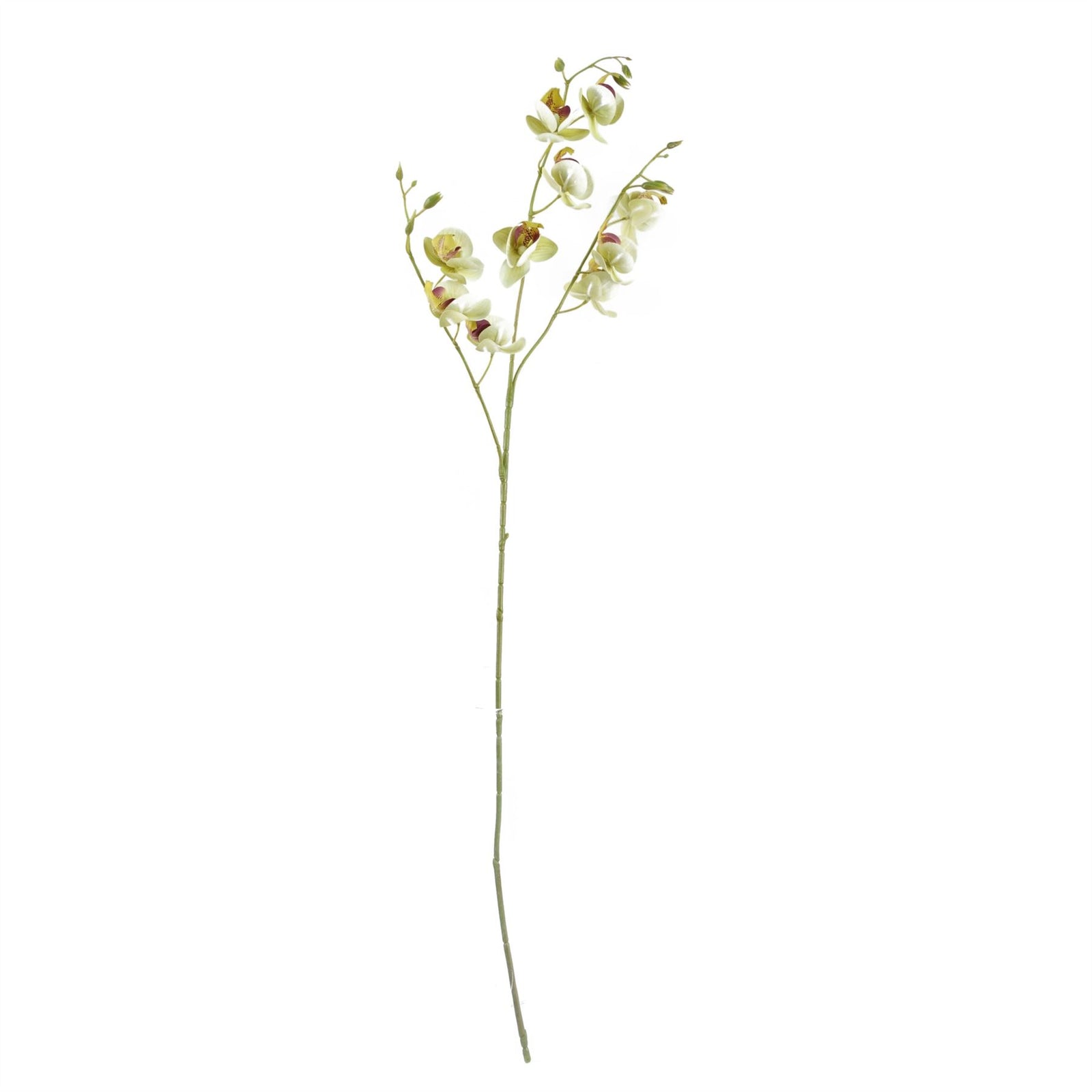 65cm Artificial Tropical Orchid Display With Glass Ball Vase