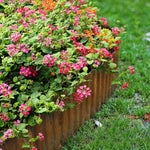 Breeins 6m Metal Garden Edging