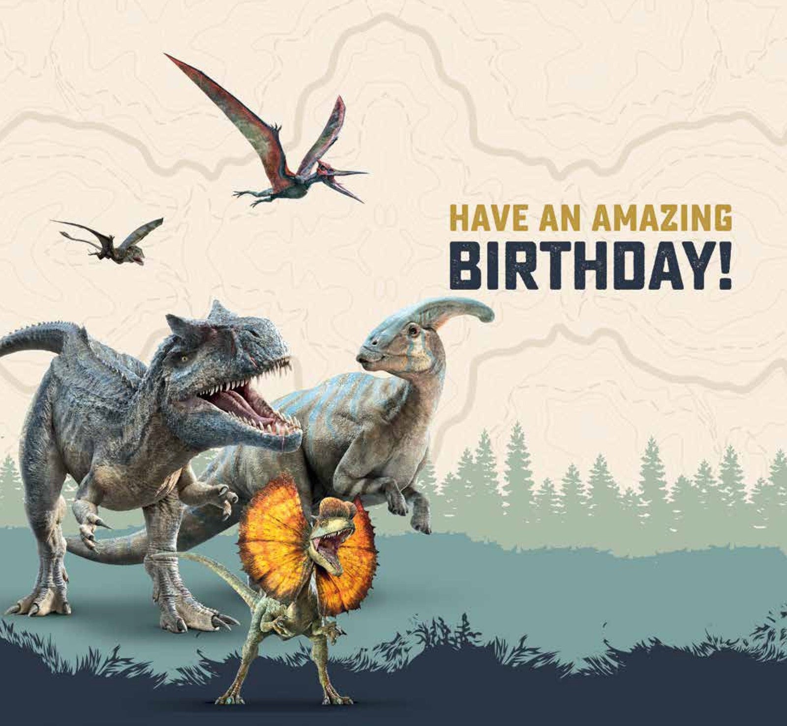 Age 6 Birthday Card Official Product