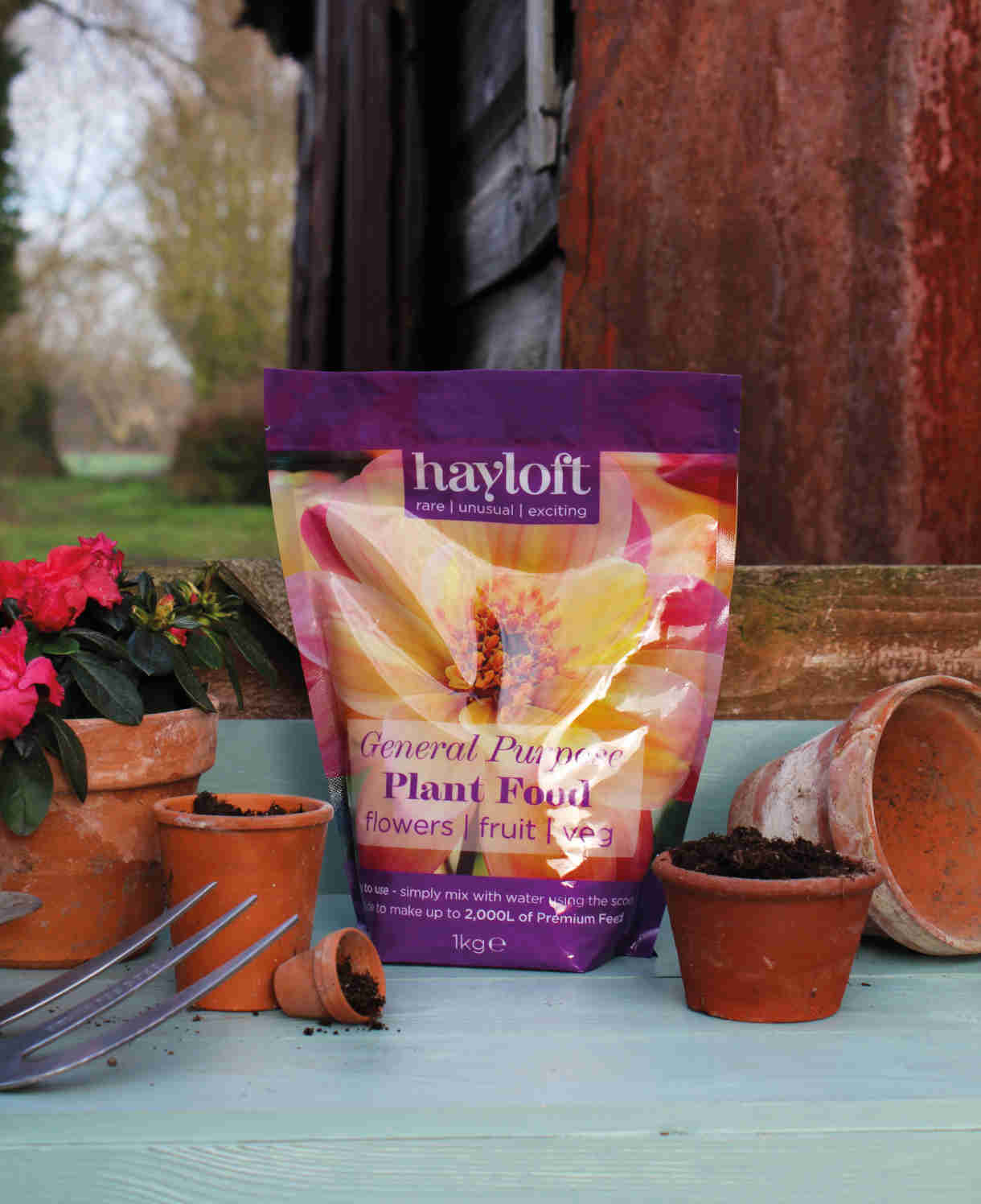 General Purpose Plant Food - 1kg | Set-of-2 | Multi