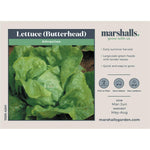 Butterhead Lettuce Seeds 'attraction' | 1000 Seeds
