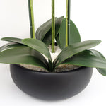 Artificial 60cm Orchid Yellow Black Ceramic Planter