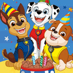 Nephew' Birthday Card Official Product