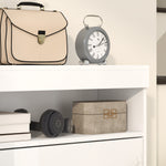 Wall Mounted Freestanding Shoe Cabinet With 2 Flip Drawers | One Size | White
