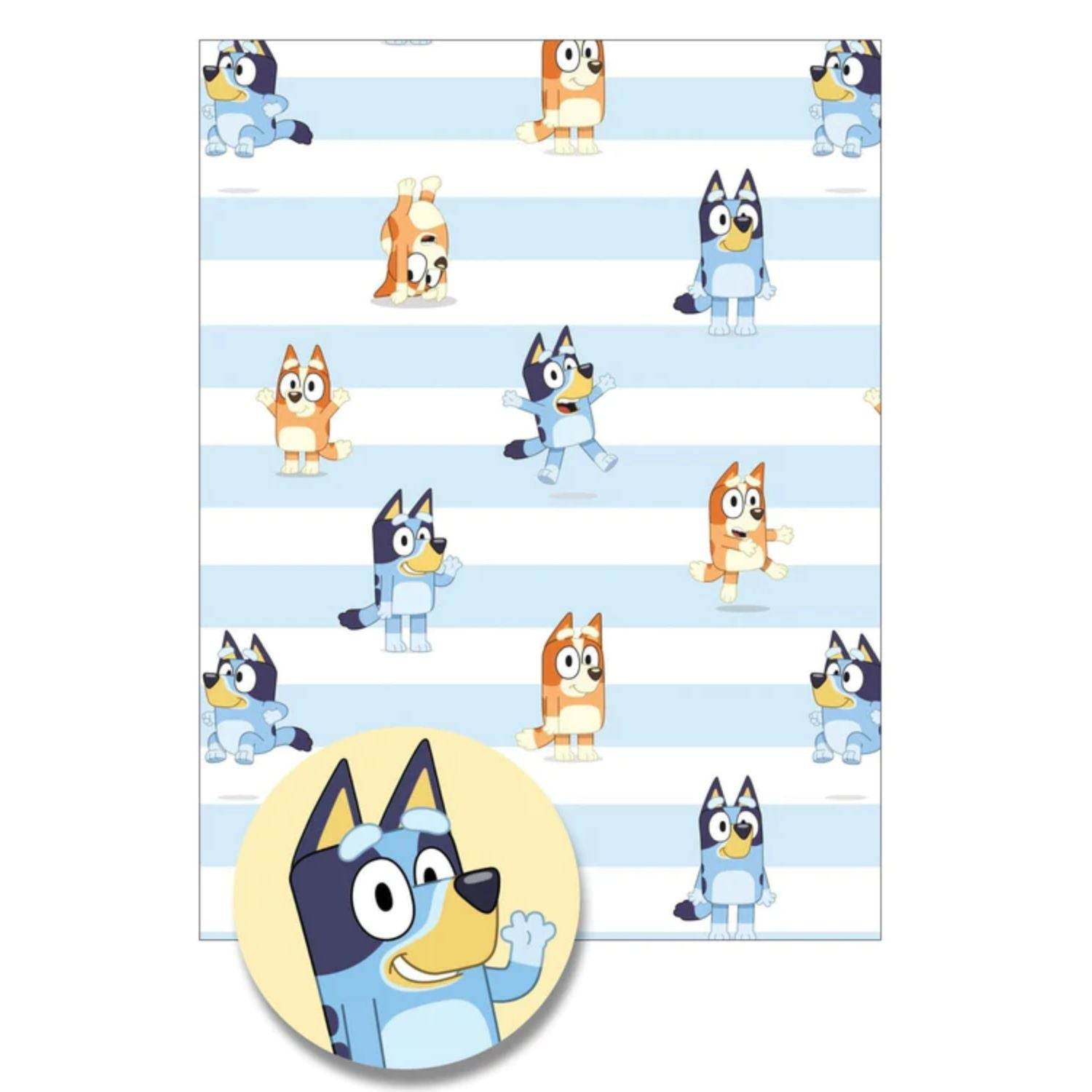 2 Sheets & 2 Tags Wrapping Paper