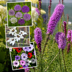 Bees & Butterfly Happy Collection 100 Mixed Bulbs & Bare Roots | 100 x Bare Root | Multi