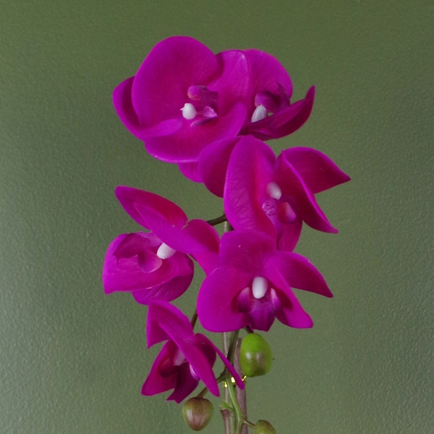 Artificial 46cm Orchid Dark Pink Gold