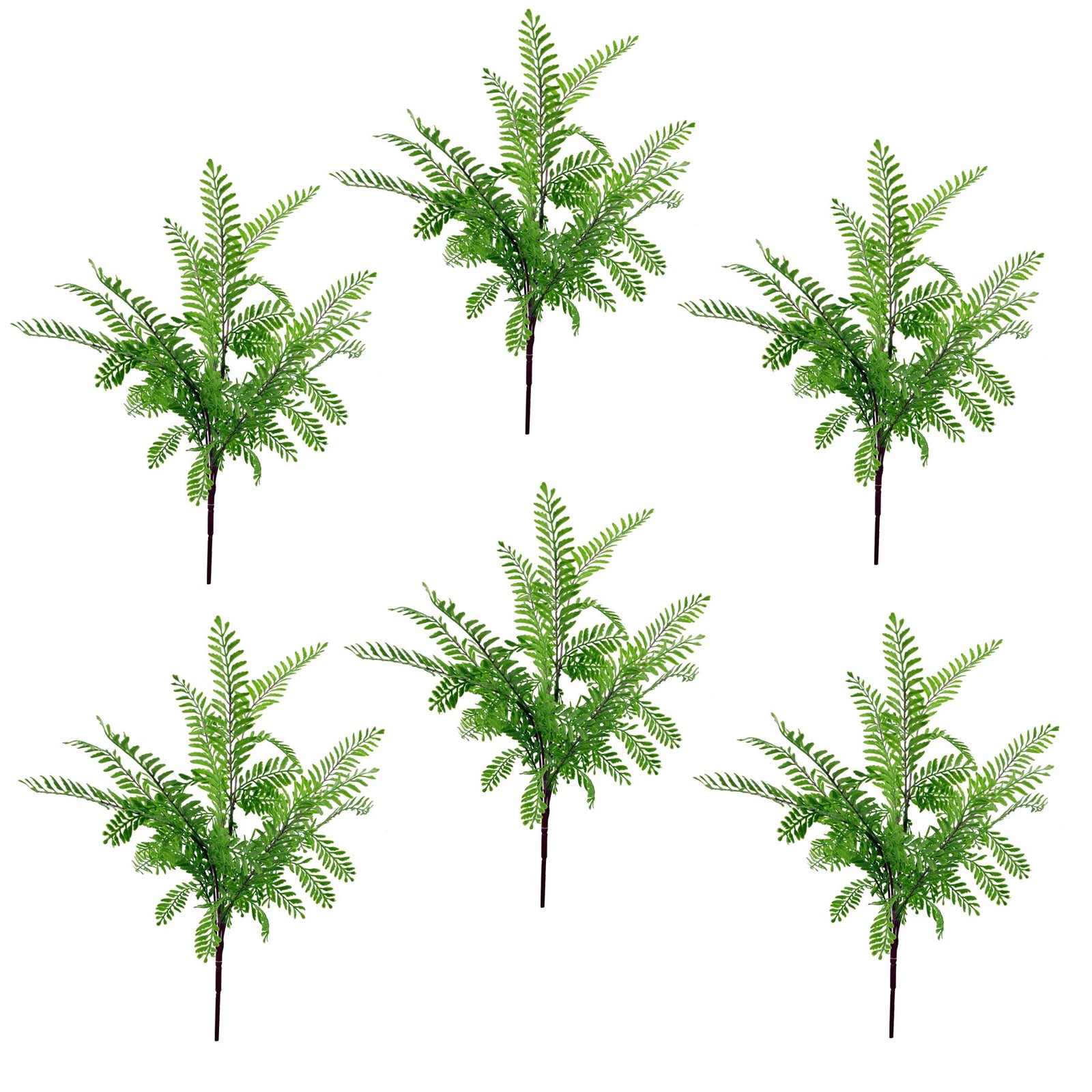 6 X 55cm Himilayan Maidenhair Fern Bush Light Green Plant