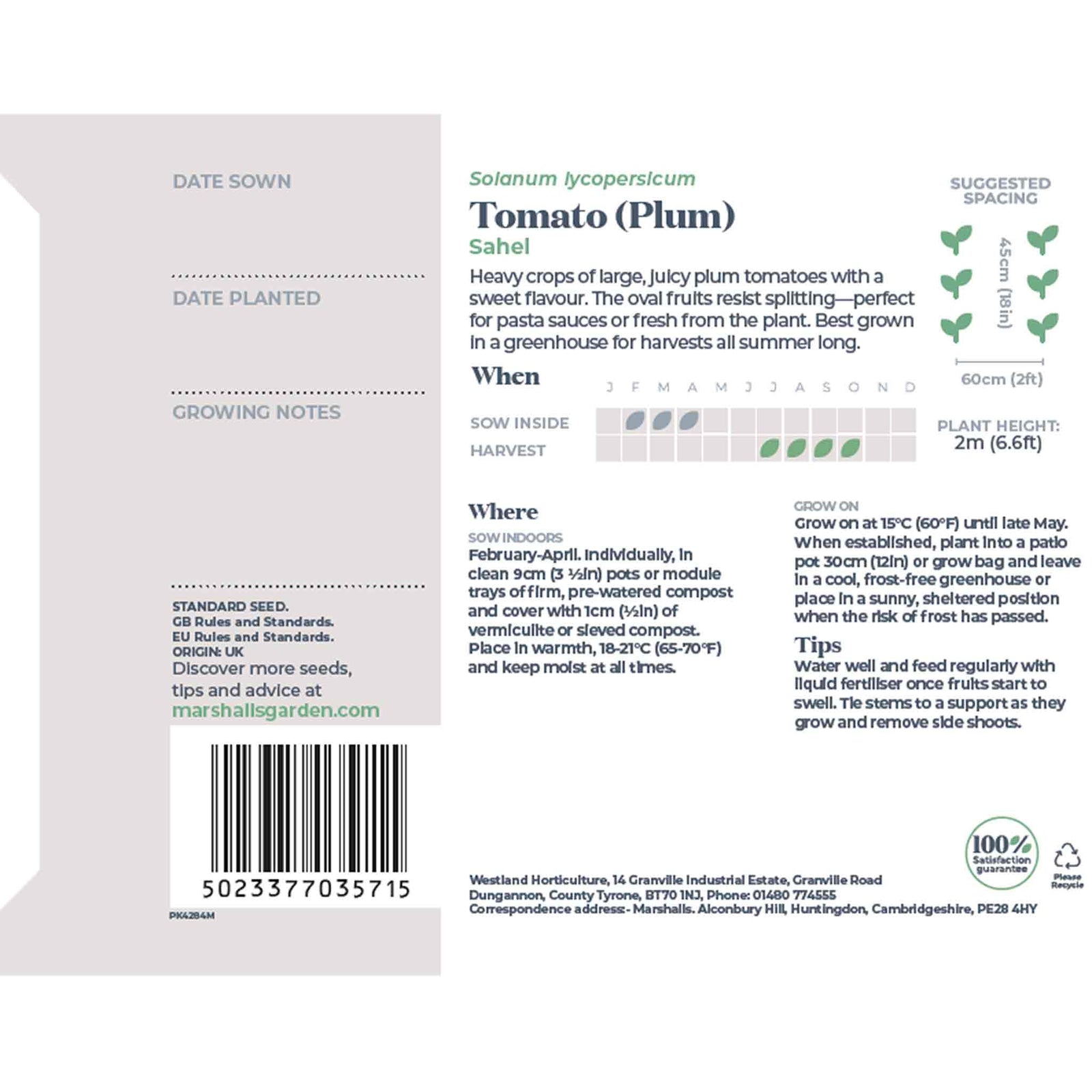 Tomato Sahel Seeds | 10 Seeds