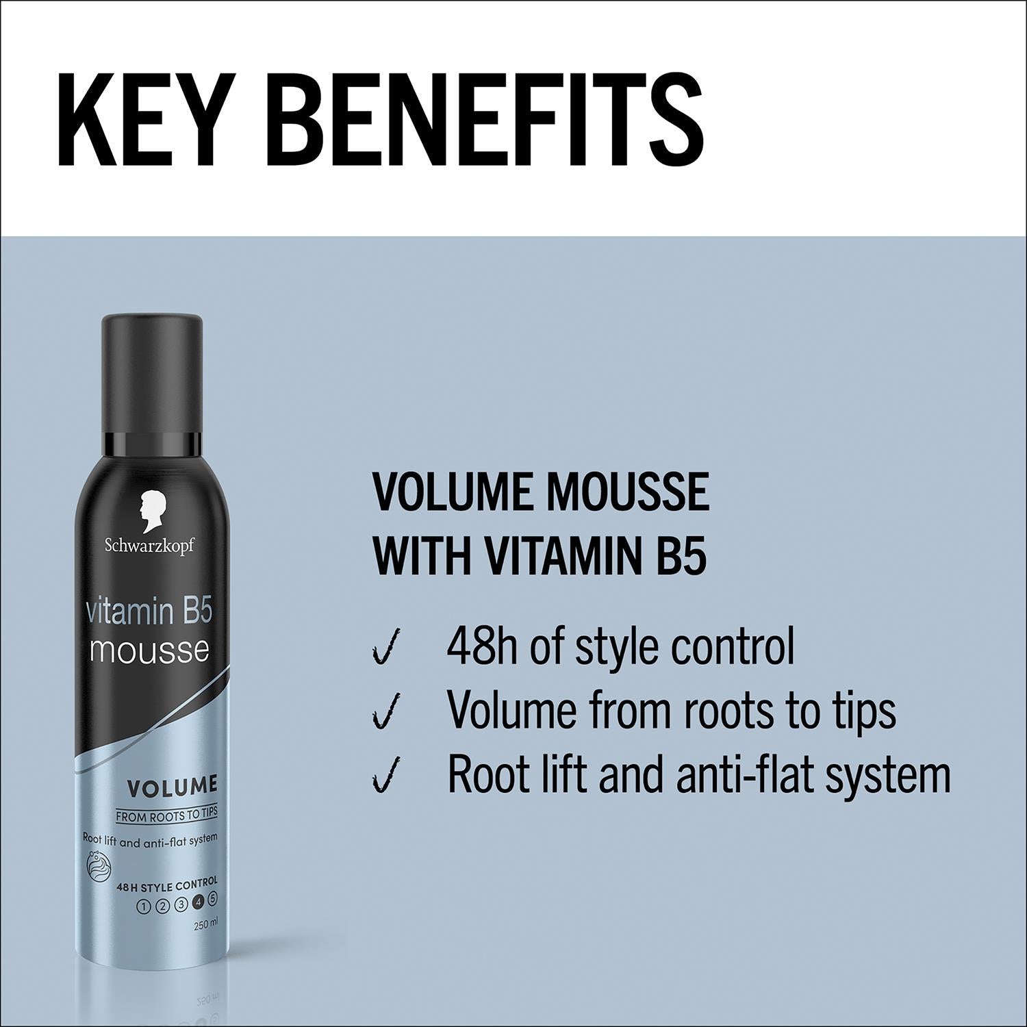 Professional Styling Volume Lift Mousse 48h Extra Strong 250ml 3pack