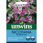 Nicotiana 'whisper Mix' Seeds | 50 Seeds