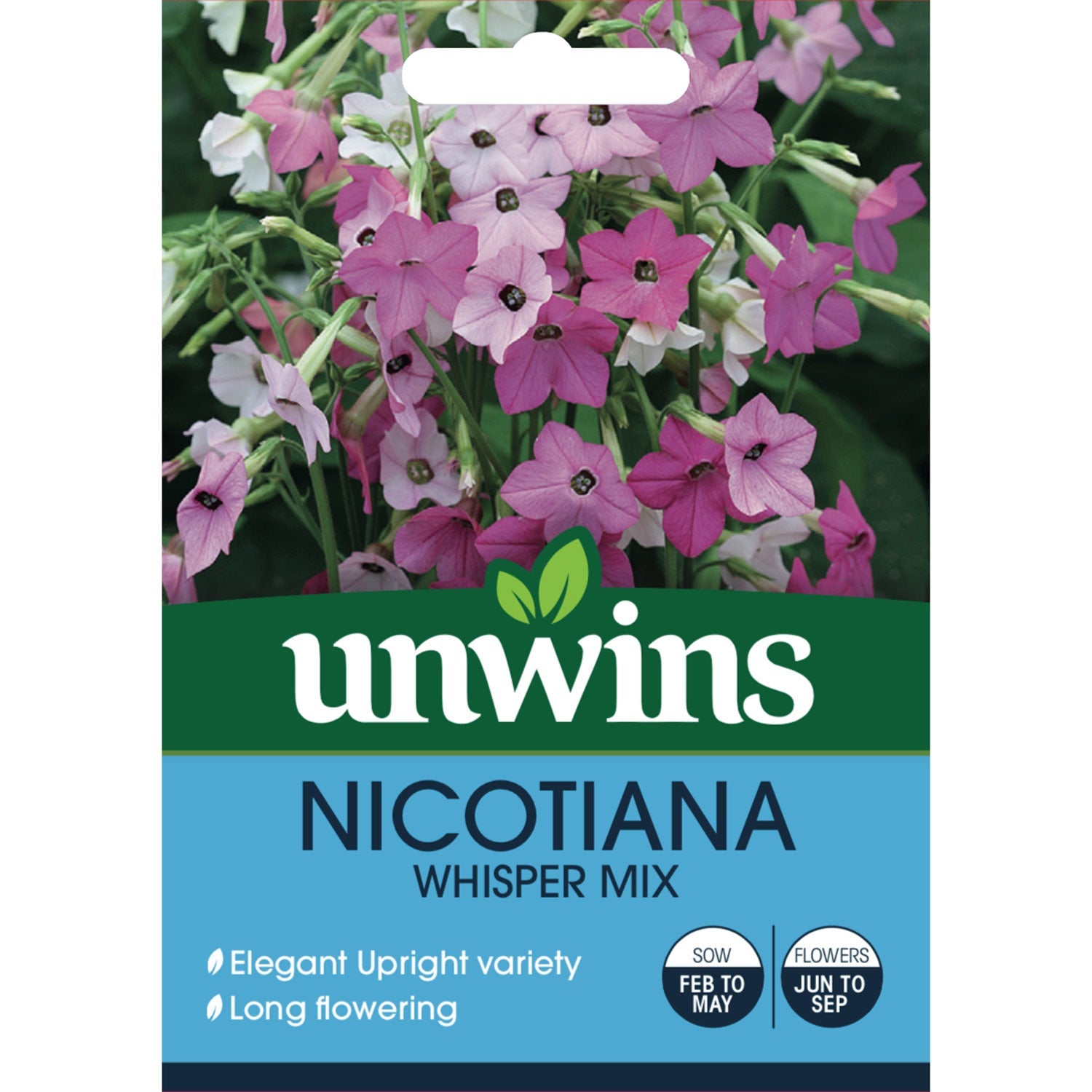 Nicotiana 'whisper Mix' Seeds | 50 Seeds