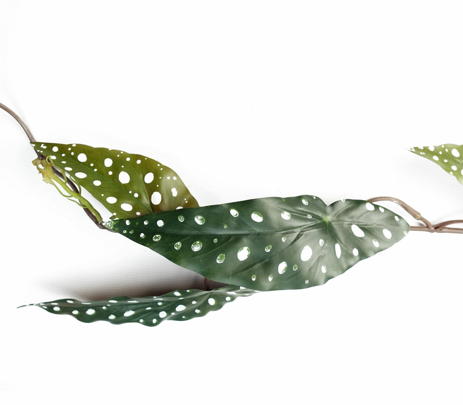 Artificial 110cm Trailing Hanging Begonia Maculata Spotted Plant Realistic