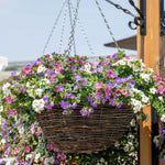 Rattan Round Hanging Basket - 14in | Set of 1