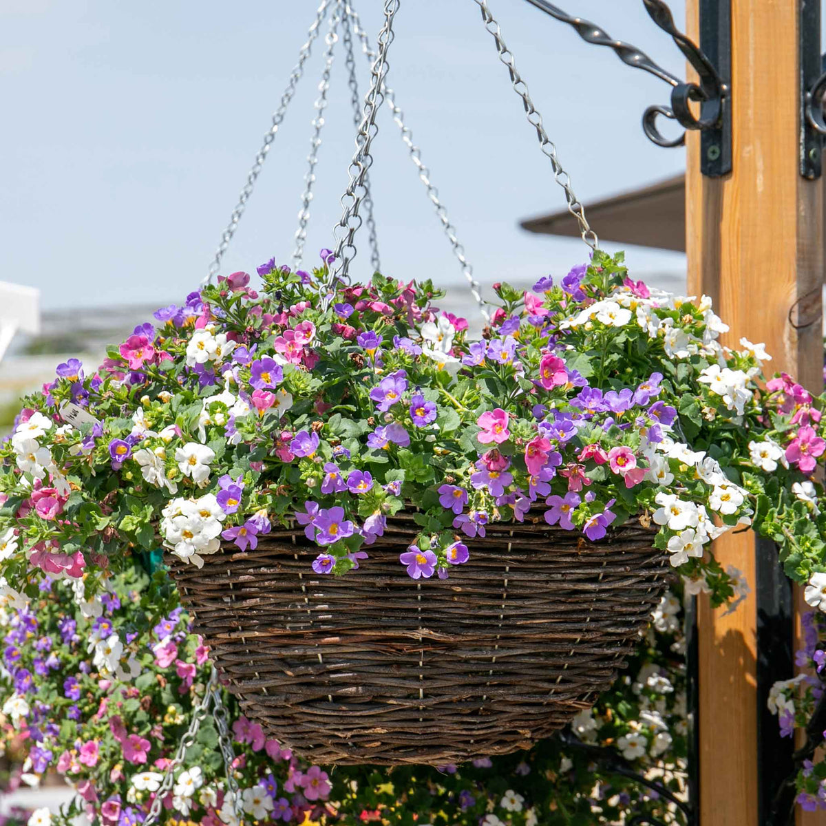 Rattan Round Hanging Basket - 14in | Set of 1