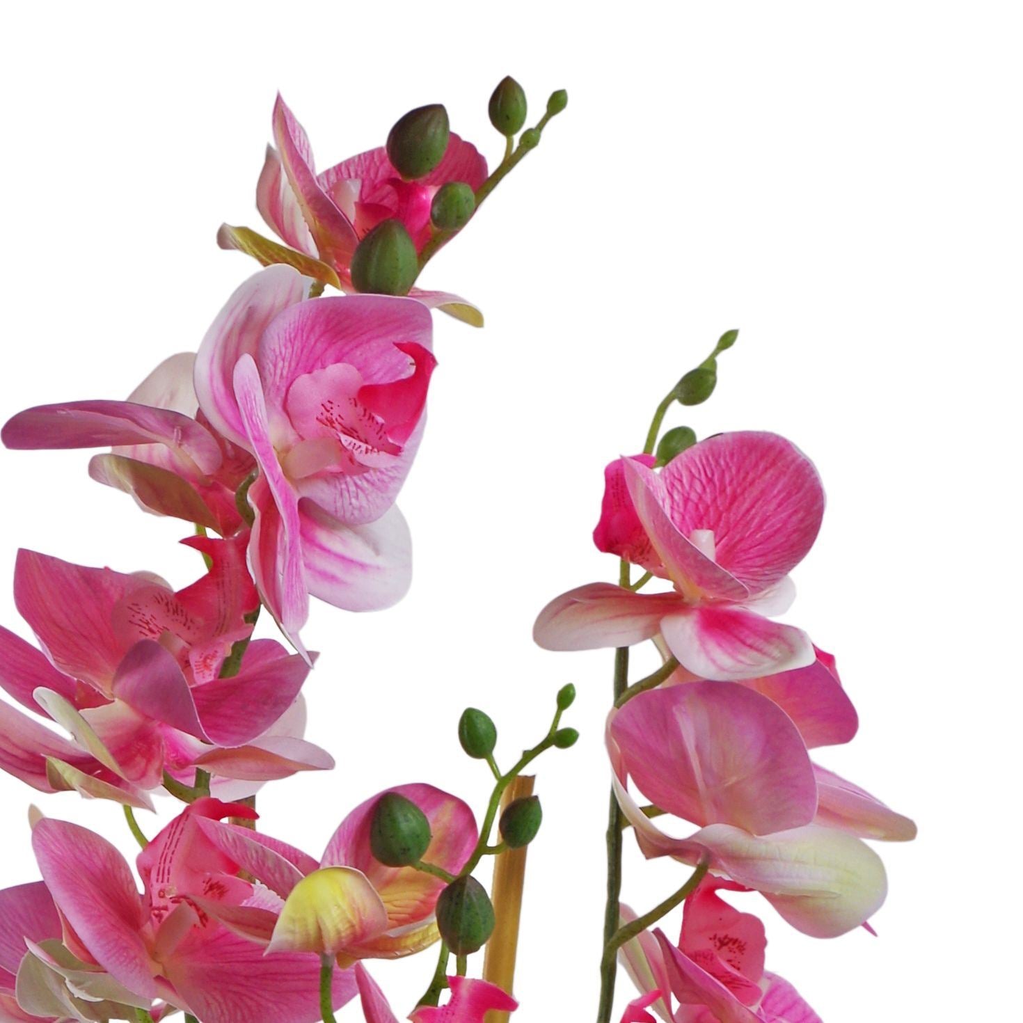 Artificial 70cm Orchid Light Pink With Black Ceramic Planter