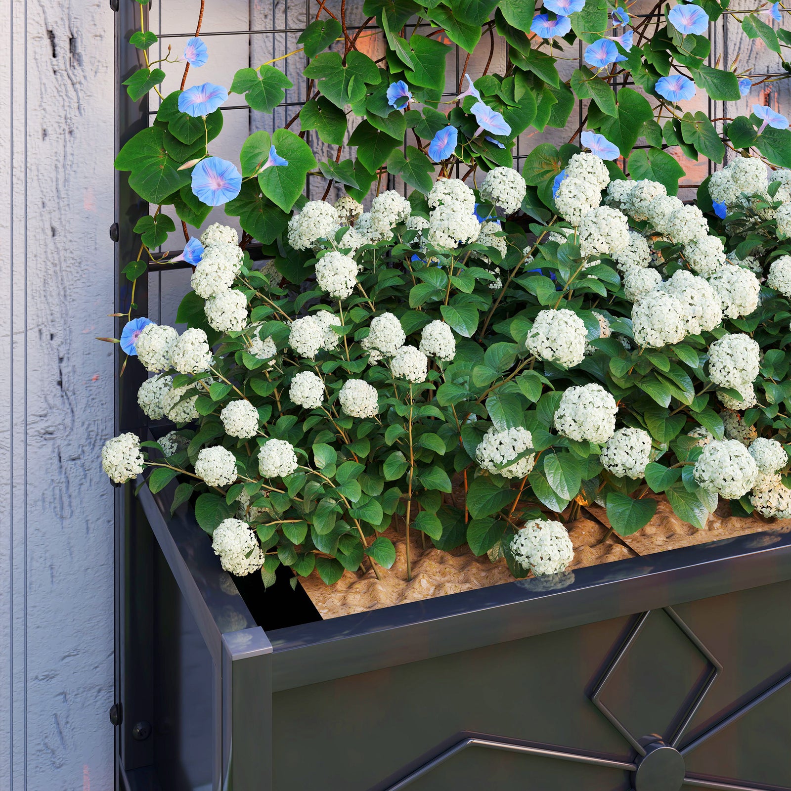 Raised Bed With Trellis, Galvanised Planter Box, Black