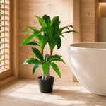 75cm Artificial Dracaena Plant Wide Trunk Triple Branch Large