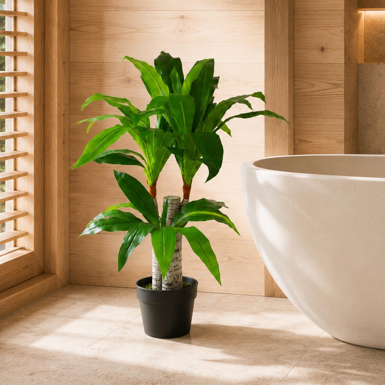 75cm Artificial Dracaena Plant Wide Trunk Triple Branch Large