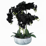 60cm Orchid Artificial Black White Ceramic Planter
