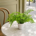 Artificial 30cm Potted Royal Fern