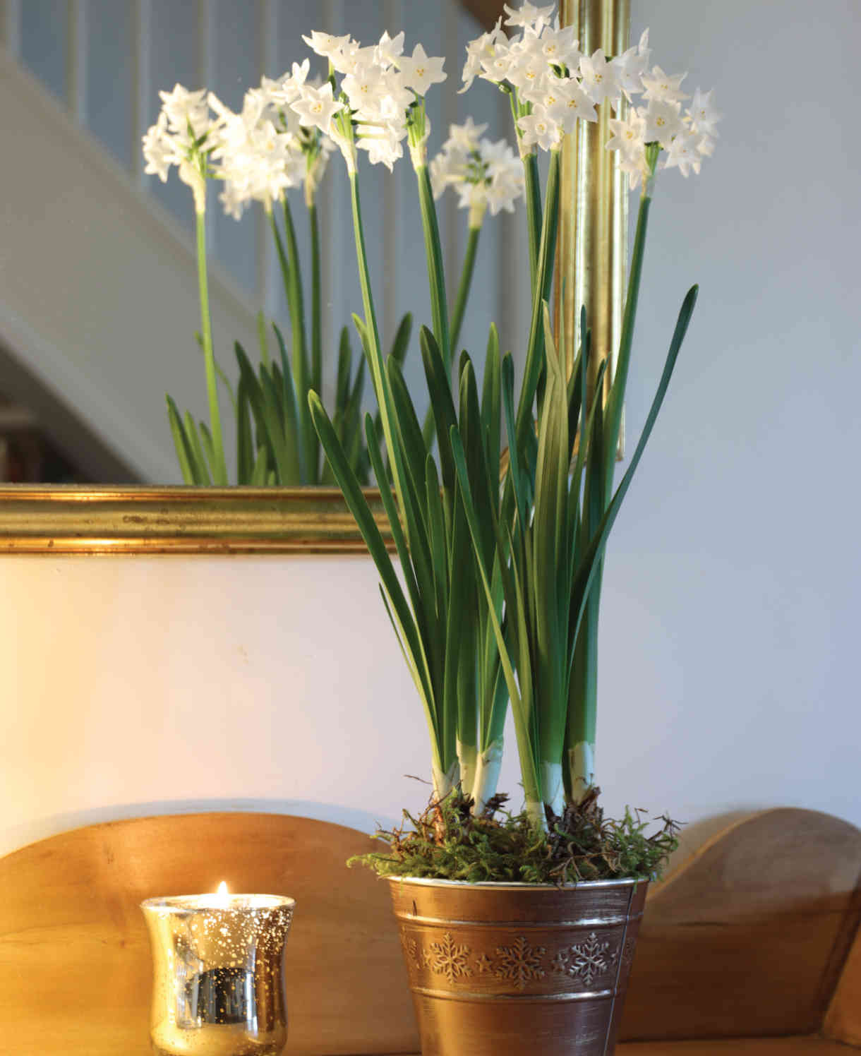 Perfect Pot Of Paperwhites In A Bronze Pot - Christmas Gift | Set-of-1