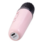 Portable Karaoke Speaker With Two Wireless Microphones And Rgb Lights | Pink
